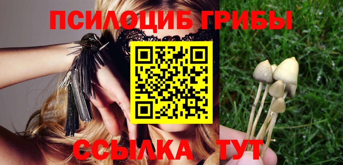 Саяногорск  купить  сайты  Вход с VPN  Галлюциногенные грибы прущие грибы 
