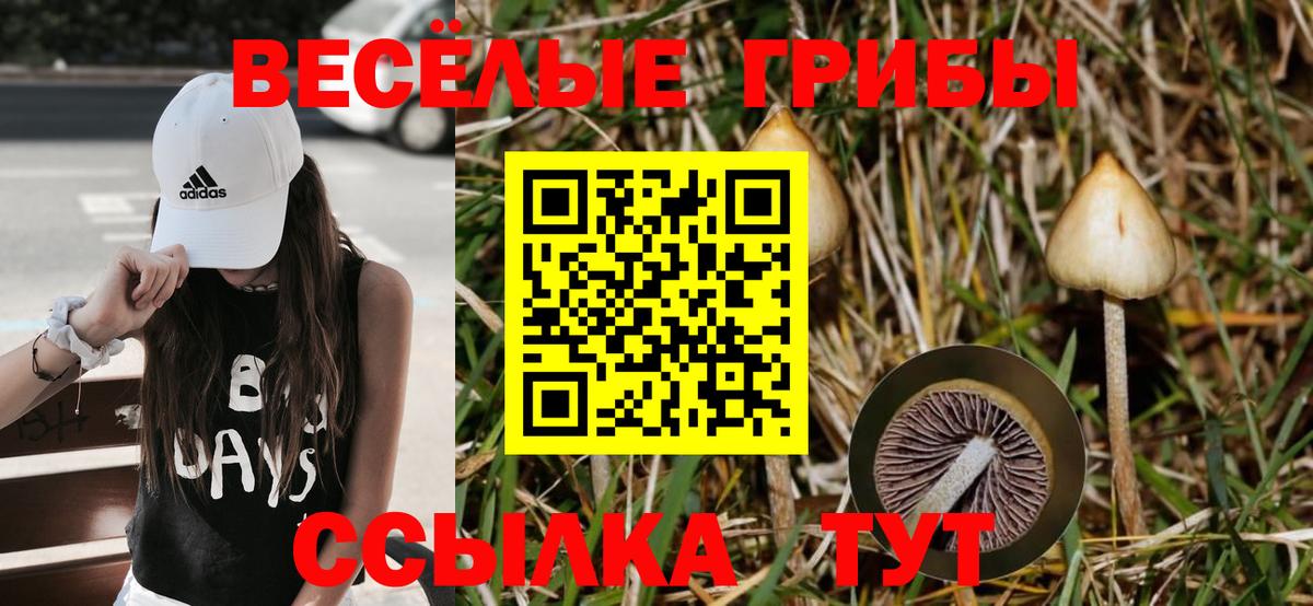Псилоцибиновые грибы мухоморы Саяногорск